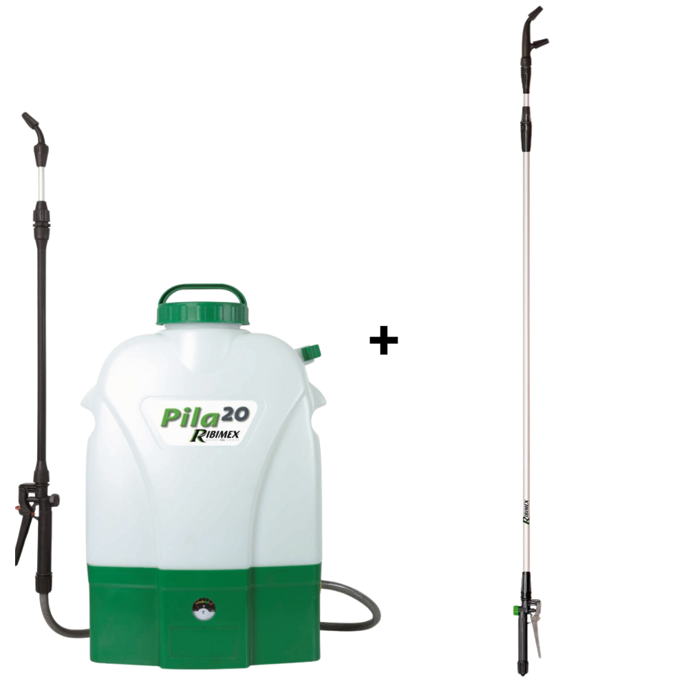 Pila 20 elektrische accu-spuit 20L